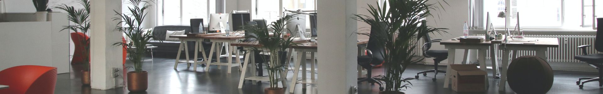 Solution Business Analyst - office